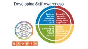 redoing an insights discovery profile for developing self-awareness