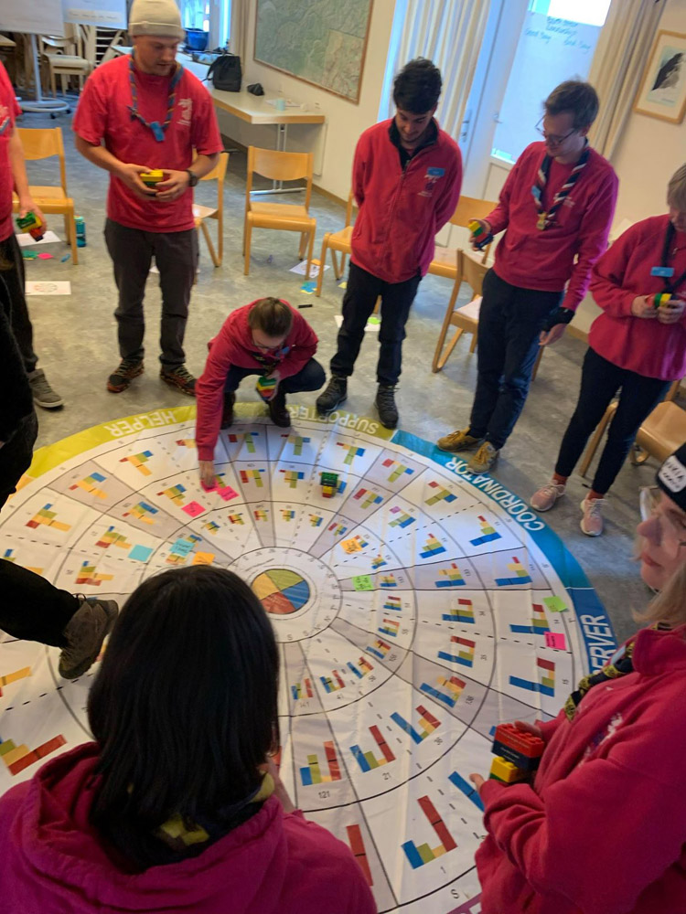 dff delegates using the insights discovery team wheel, for management and leadership training