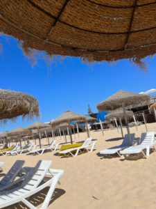 loungers on a sandy beach with umbrellas shading them